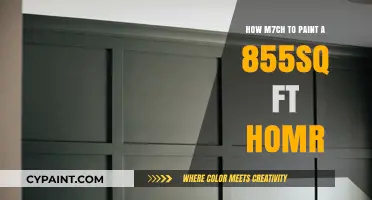 Cost to Paint an 855 Sq Ft Home: Budget Guide