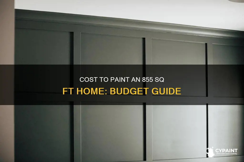 how m7ch to paint a 855sq ft homr