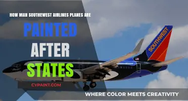 Southwest Airlines: State-Painted Planes and Their Stories
