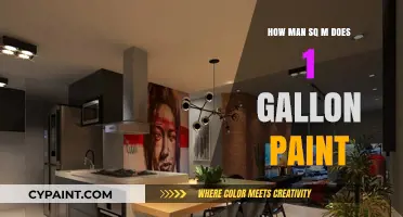 How Much Area Does 1 Gallon of Paint Cover?