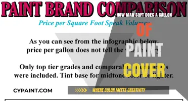 Paint Coverage: Gallon of Paint, Square Footage?