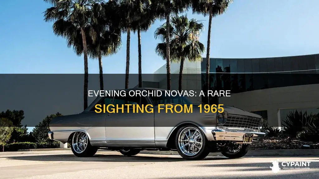 how many 1965 nova ss were painted evening orchid