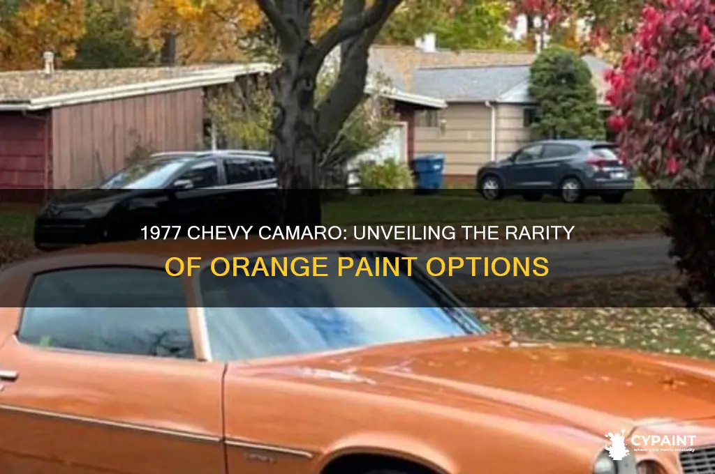 how many 1977 chevy camaros were painted orange
