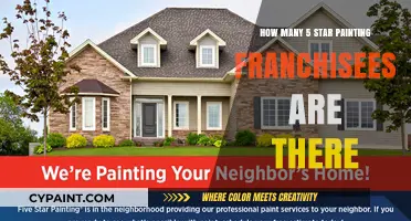 Exploring the Growth of 5 Star Painting Franchisees Nationwide