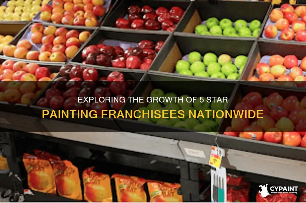 how many 5 star painting franchisees are there