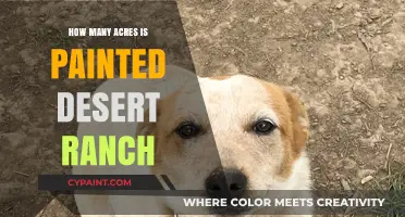 Exploring the Vast Size of Painted Desert Ranch in Acres