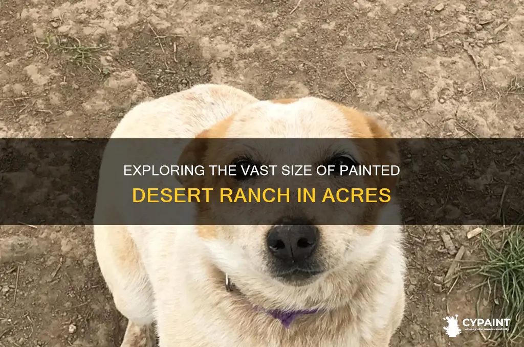 how many acres is painted desert ranch