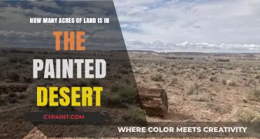 Exploring the Painted Desert: Unveiling its Vast Acreage and Beauty