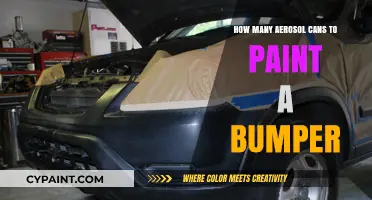 Revamping Your Ride: The Ultimate Guide to Aerosol Painting Bumpers