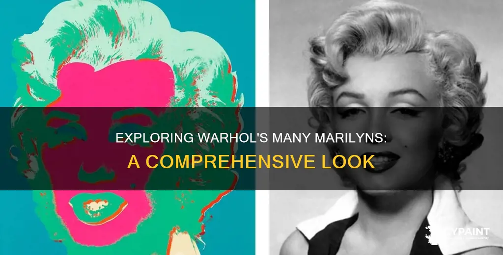 how many andy warhol marilyn monroe paintings are there