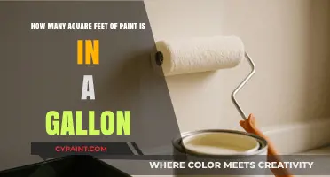 Understanding Paint Coverage: How Many Square Feet in a Gallon?