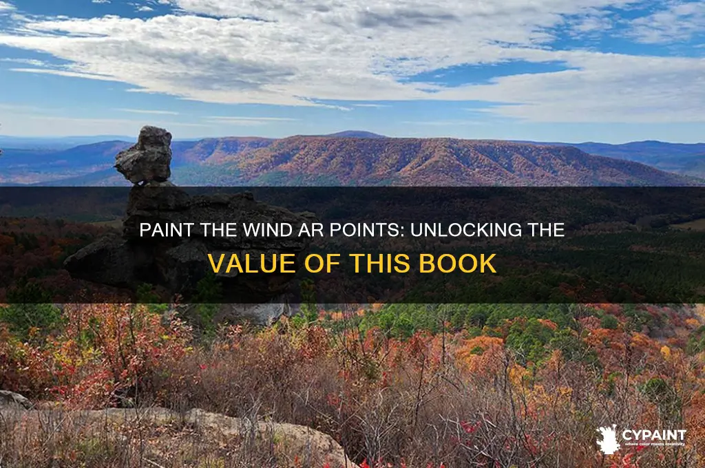 Paint The Wind Ar Points Unlocking The Value Of This
