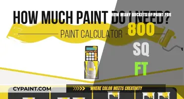 Painting Project: Buckets Required for 800 Sq Ft Space