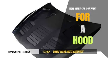 Revamping Your Ride: Estimating Paint Cans for a Hood Makeover