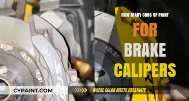 Revamp Your Ride: A Guide to Painting Brake Calipers