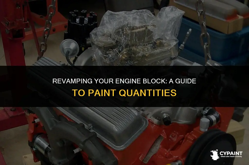 how many cans of paint for engine block