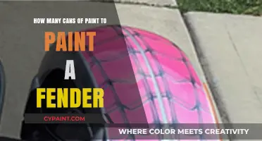 Painting a Fender: How Many Cans of Paint?