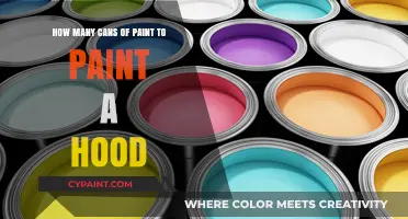 Painting Your Car Hood: How Many Cans of Paint?
