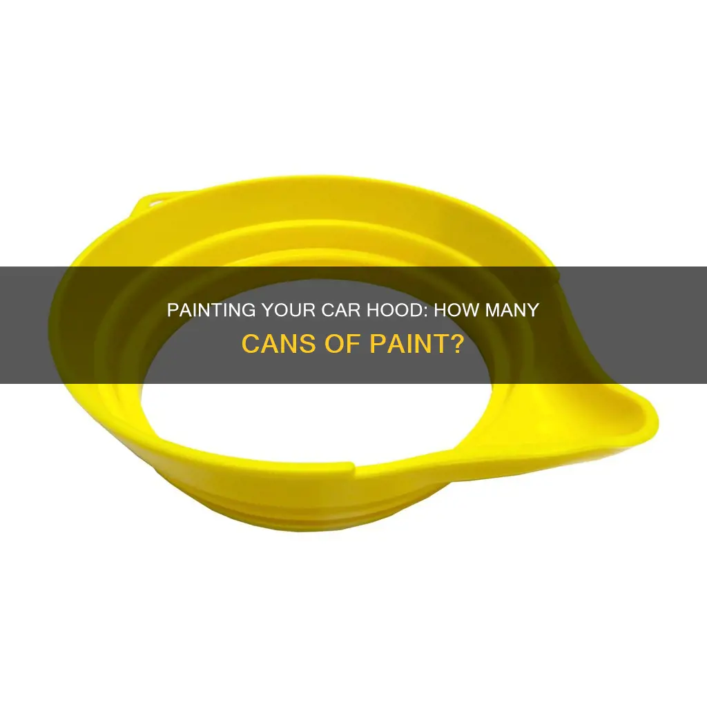 how many cans of paint to paint a hood