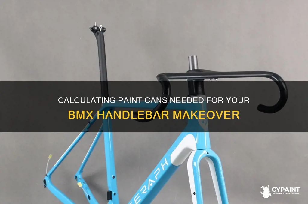 how many cans of paint to paint handle bars bmx