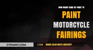 Painting Motorcycle Fairings: How Many Cans of Paint?