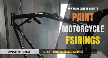 Motorcycle Fairing Paint Job: How Many Cans Needed?