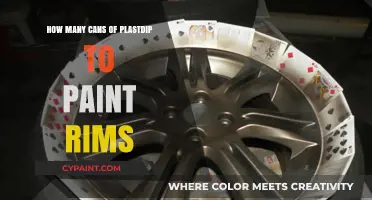 Revamp Your Ride: A Guide to Painting Rims with Plastidip