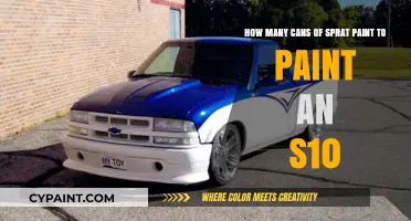 Sprat Paint Coverage Guide: Painting Your S10 Truck Efficiently