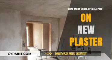 Mist Paint on New Plaster: How Many Coats?