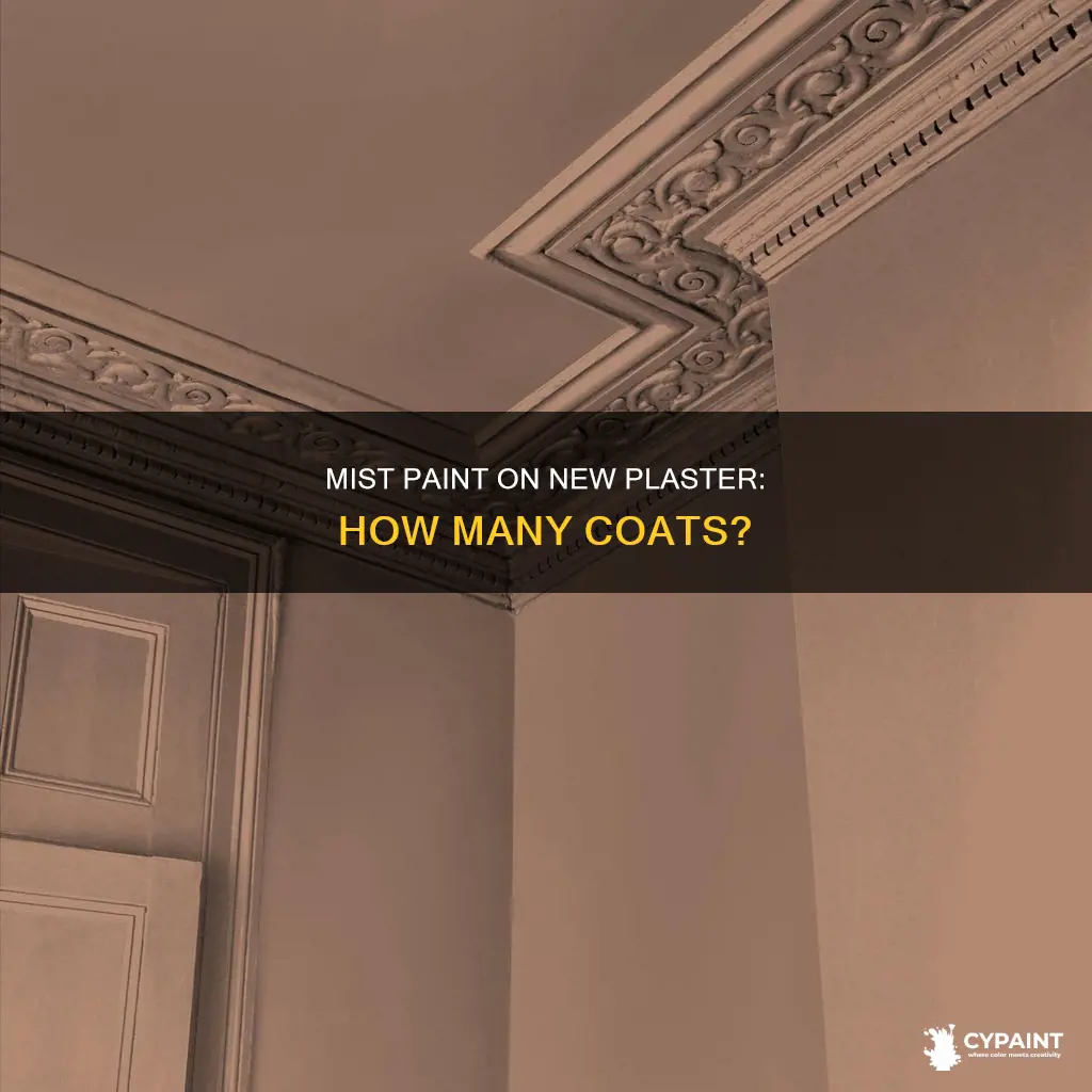 how many coats of mist paint on new plaster