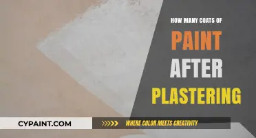 Perfect Paint Finish: Optimal Coats After Plastering Explained