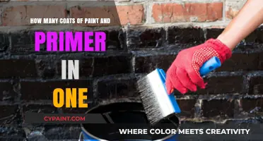 Primer and Paint Coats: How Many Are Enough?