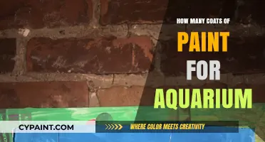 Perfect Aquarium Finish: Optimal Paint Coats for Safety and Durability