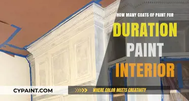 Best Coats for Duration Paint: Interior Edition