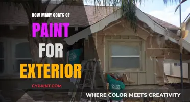 Exterior Painting Guide: Optimal Coats for Durability and Finish