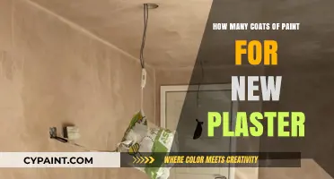 Perfect Paint Finish: Optimal Coats for New Plaster Surfaces