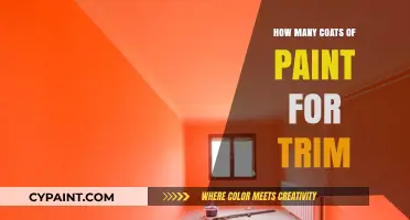 Perfect Trim Painting: Optimal Coats for a Flawless Finish Guide