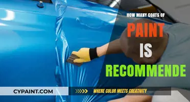 Optimal Paint Coats: Expert Recommendations for a Flawless Finish