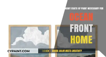 Painting Oceanfront Homes: Determining the Ideal Number of Coats for Durability