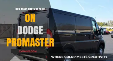 Optimal Paint Coats for Your Dodge Promaster: Expert Tips and Advice