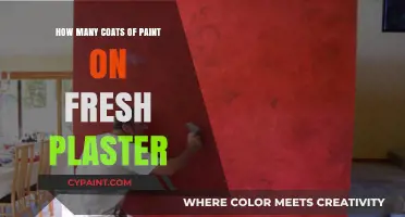 Painting Fresh Plaster: Optimal Coats for a Smooth, Durable Finish