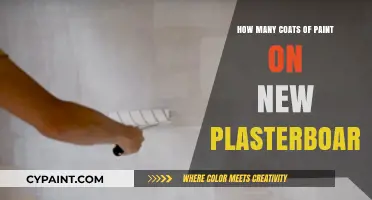 Perfect Paint Finish: Optimal Coats for New Plasterboard Surfaces