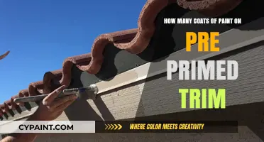 Primer Plus: Coats of Paint on Trim