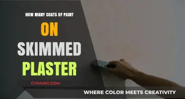 Painting Skimmed Plaster: Optimal Coats for a Flawless Finish