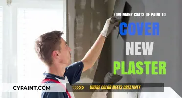 Complete Coverage: Painting New Plaster