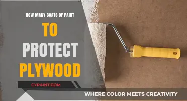 Protecting Plywood: Optimal Paint Coats for Durability and Longevity