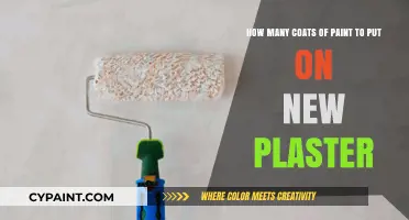 Painting New Plaster: Optimal Coats for a Flawless Finish
