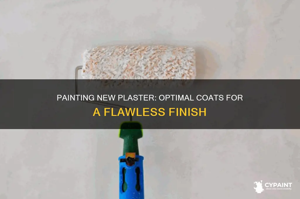 how many coats of paint to put on new plaster