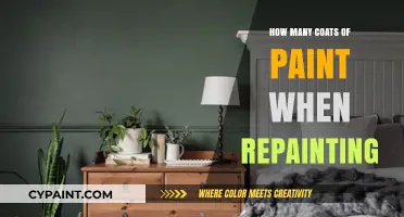 Mastering Repainting: Optimal Coats for a Flawless Finish Every Time