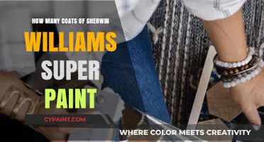 Optimal Coats of Sherwin Williams Super Paint for Lasting Results